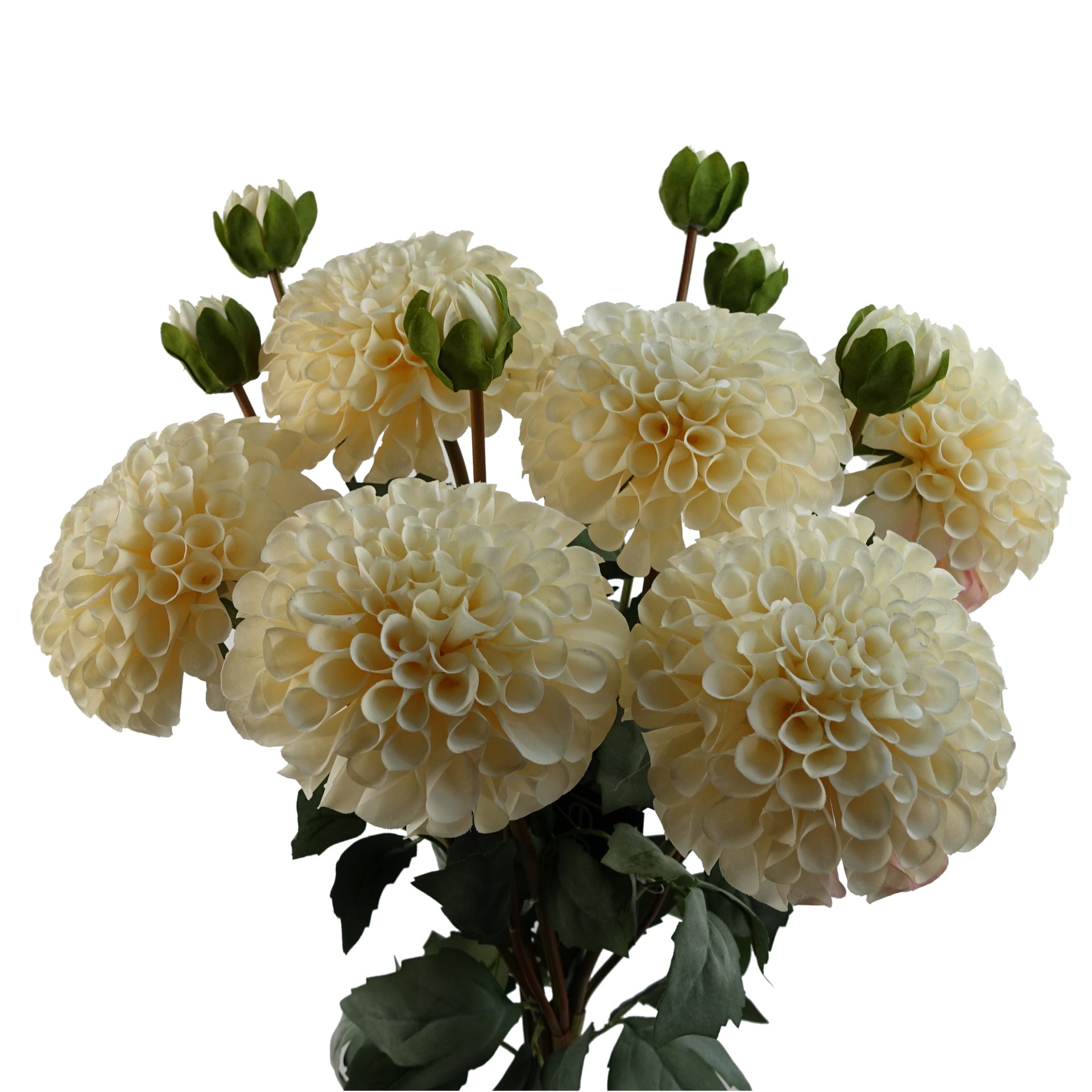6 x 75cm Dhalia PomPom Artificial Flowers Cream