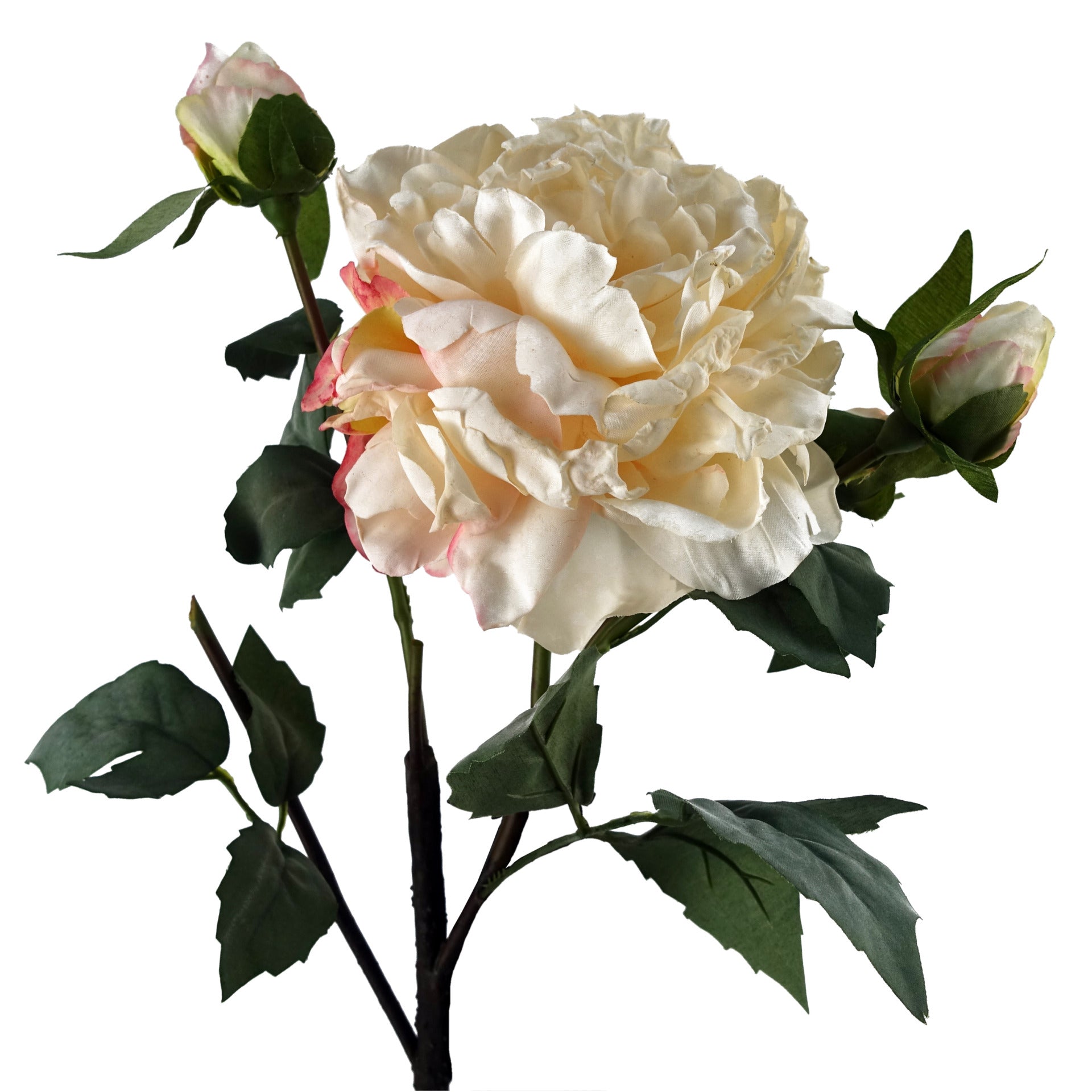 6 x 60cm Peony Artificial Flower Cream
