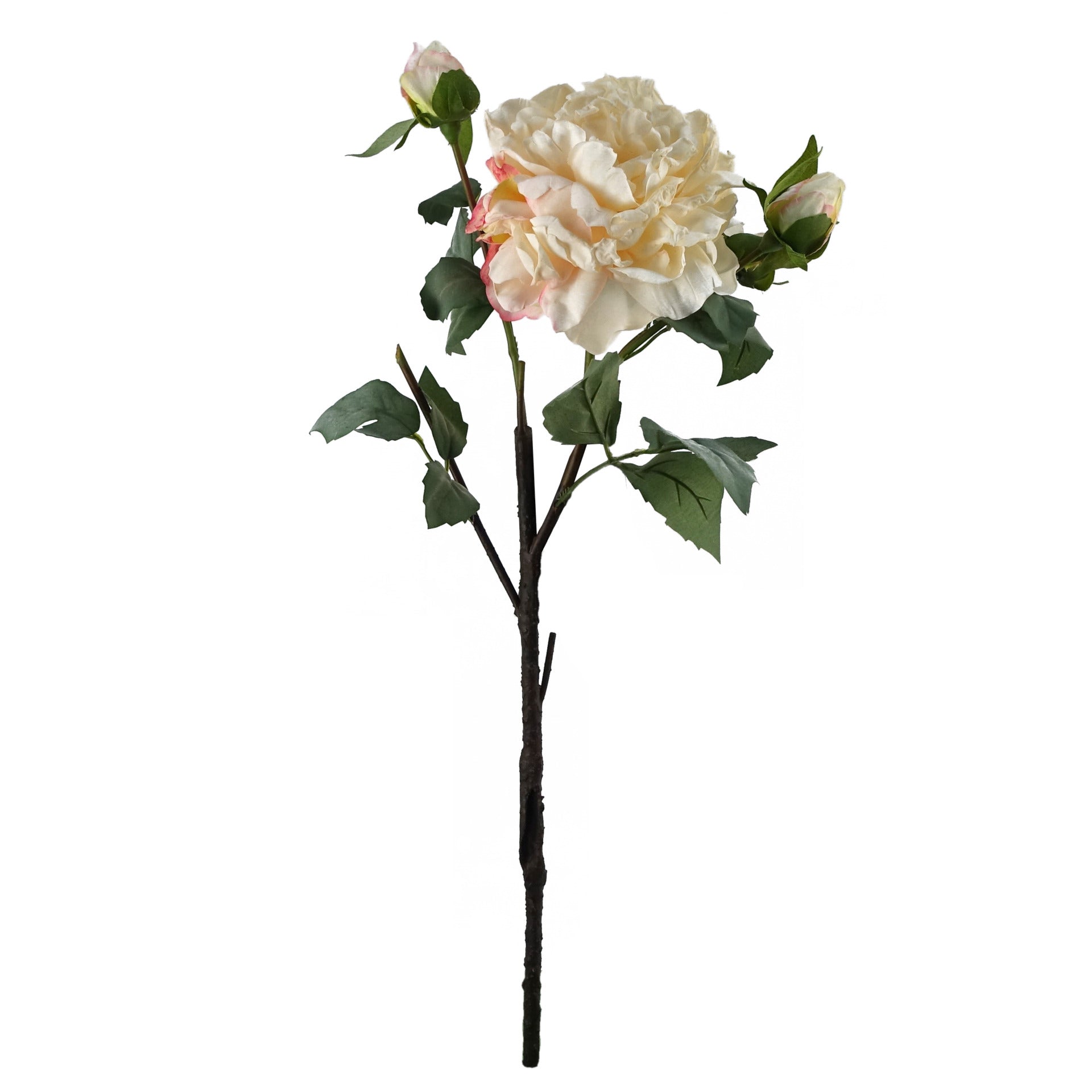 60cm Peony Artificial Flower Cream