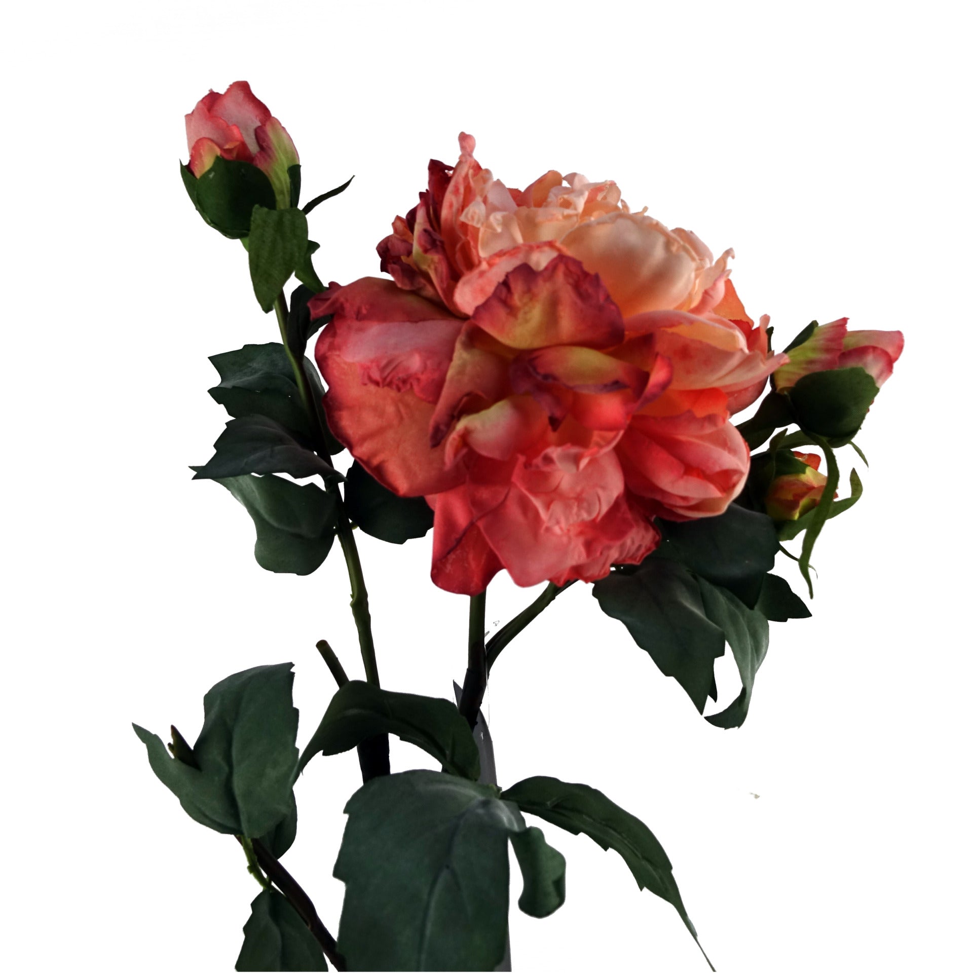 6 x 60cm Peony Artificial Flower Pink