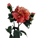 60cm Peony Artificial Flower Pink