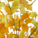 150cm Artificial Yellow Ginkgo Tree 510 Leaves