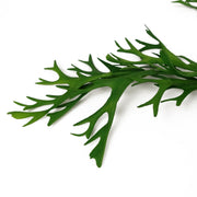 Pack of 6 x 80cm Hanging Artificial Staghorn Fern