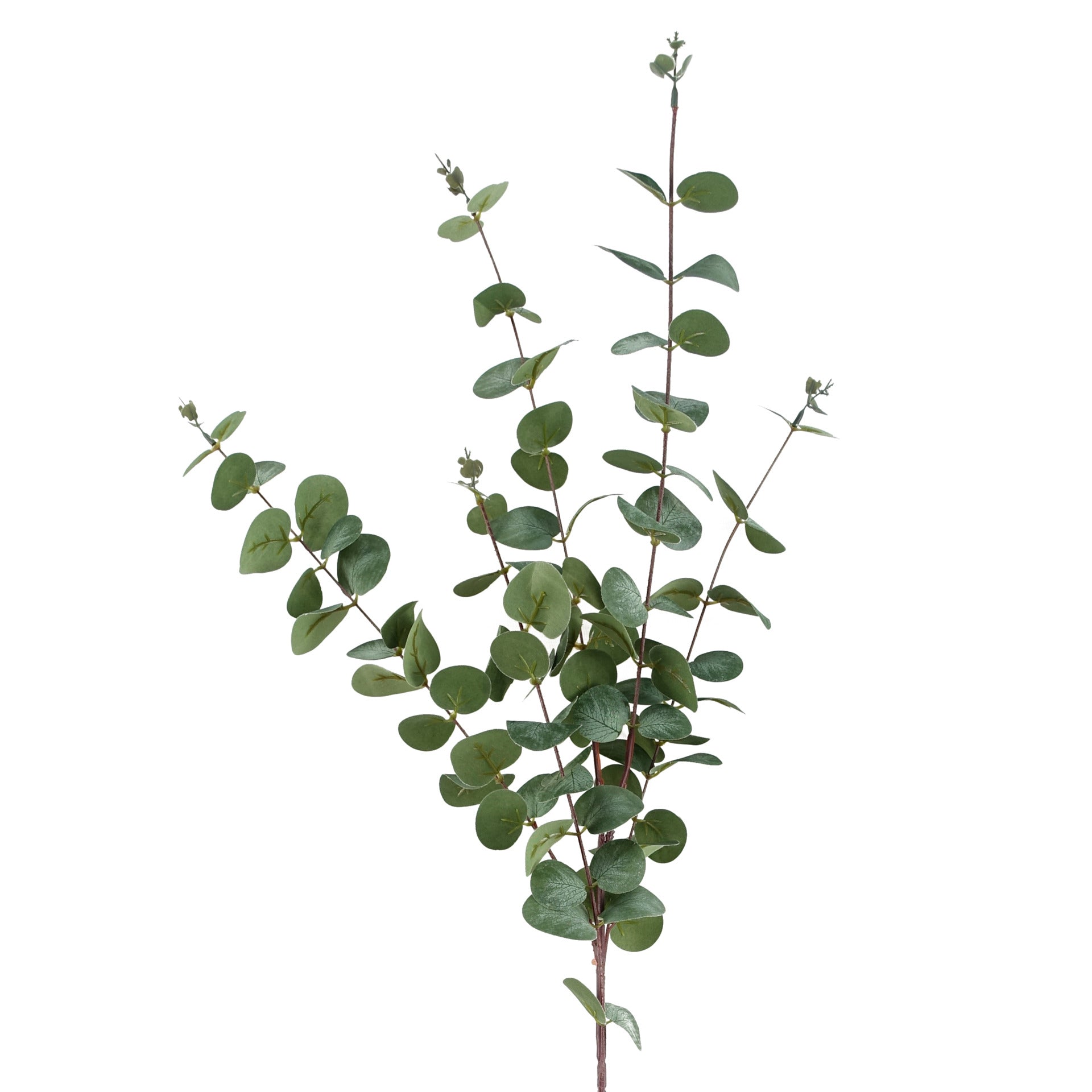 100cm Artificial Eucalyptus Foliage