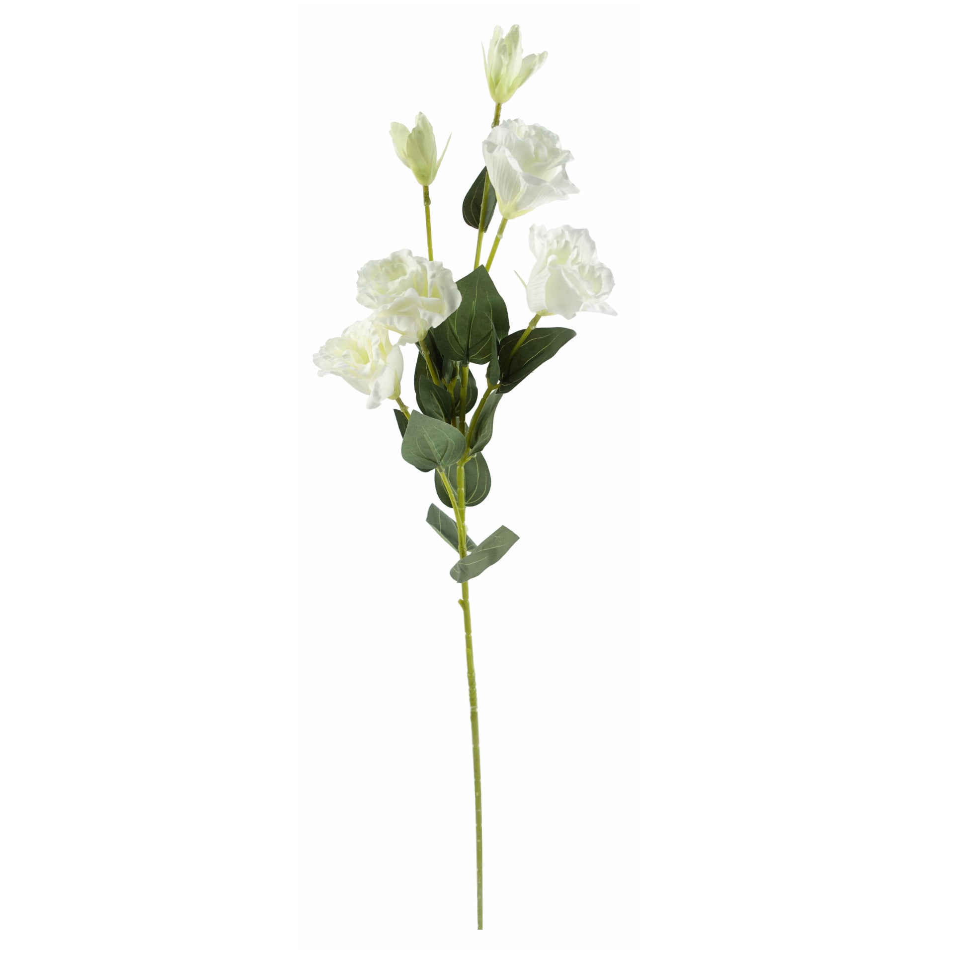 80cm Artificial White Wild Rose Stem - 6 Flowers