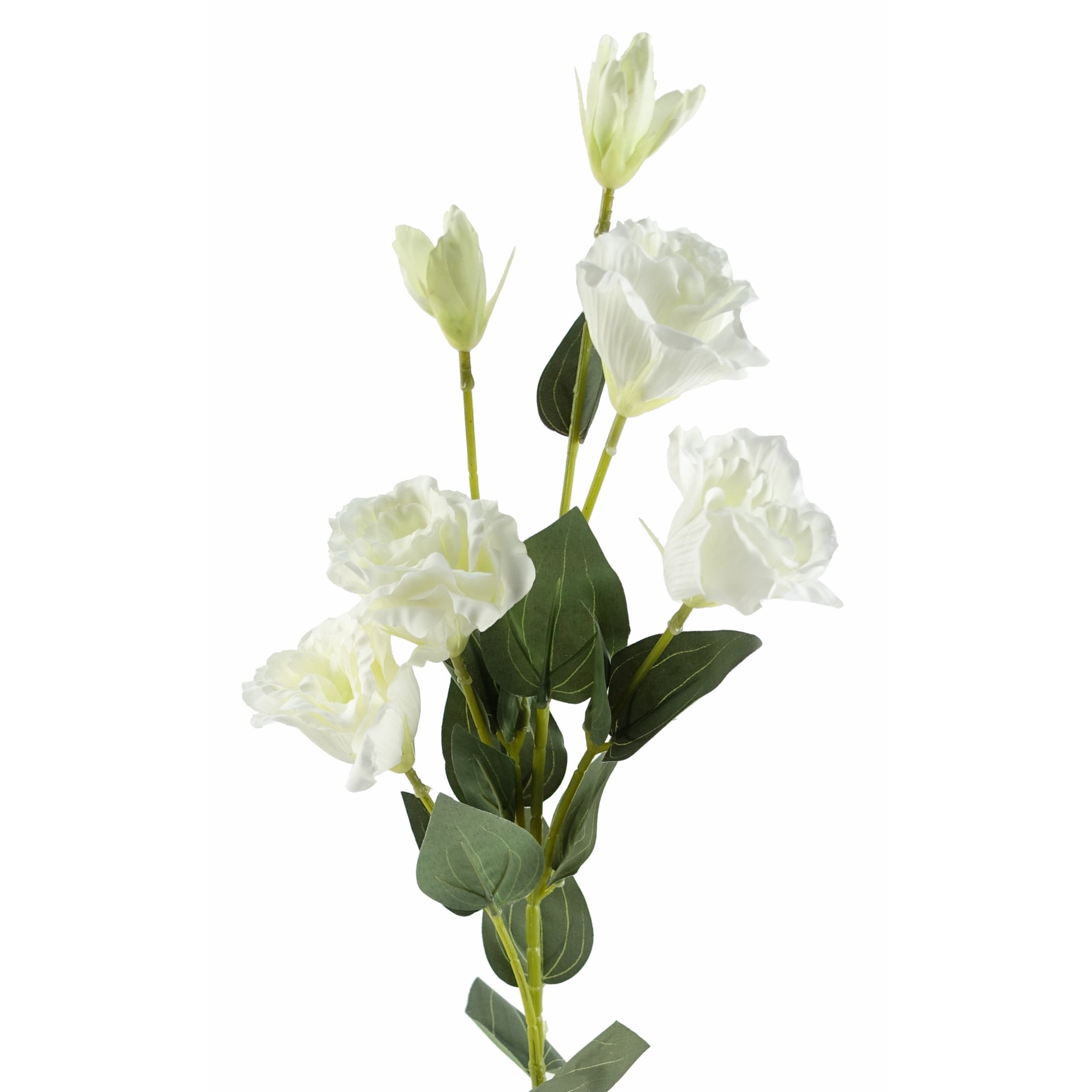 80cm Artificial White Wild Rose Stem - 6 Flowers