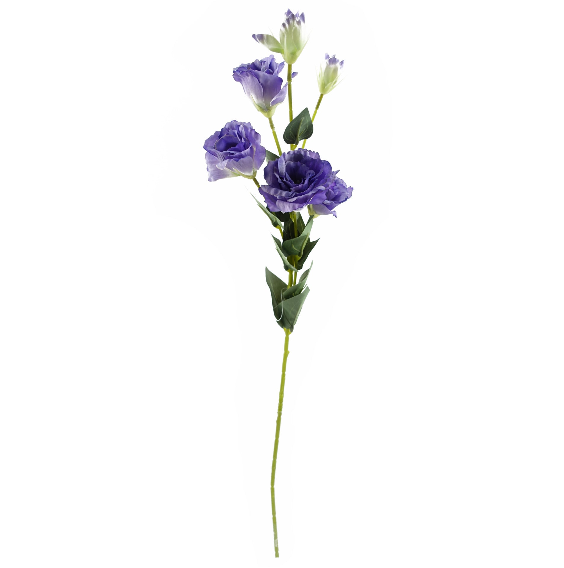 80cm Artificial Purple Wild Rose Stem - 6 Flowers