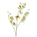 80cm Cream Artificial Mini Orchid Stem