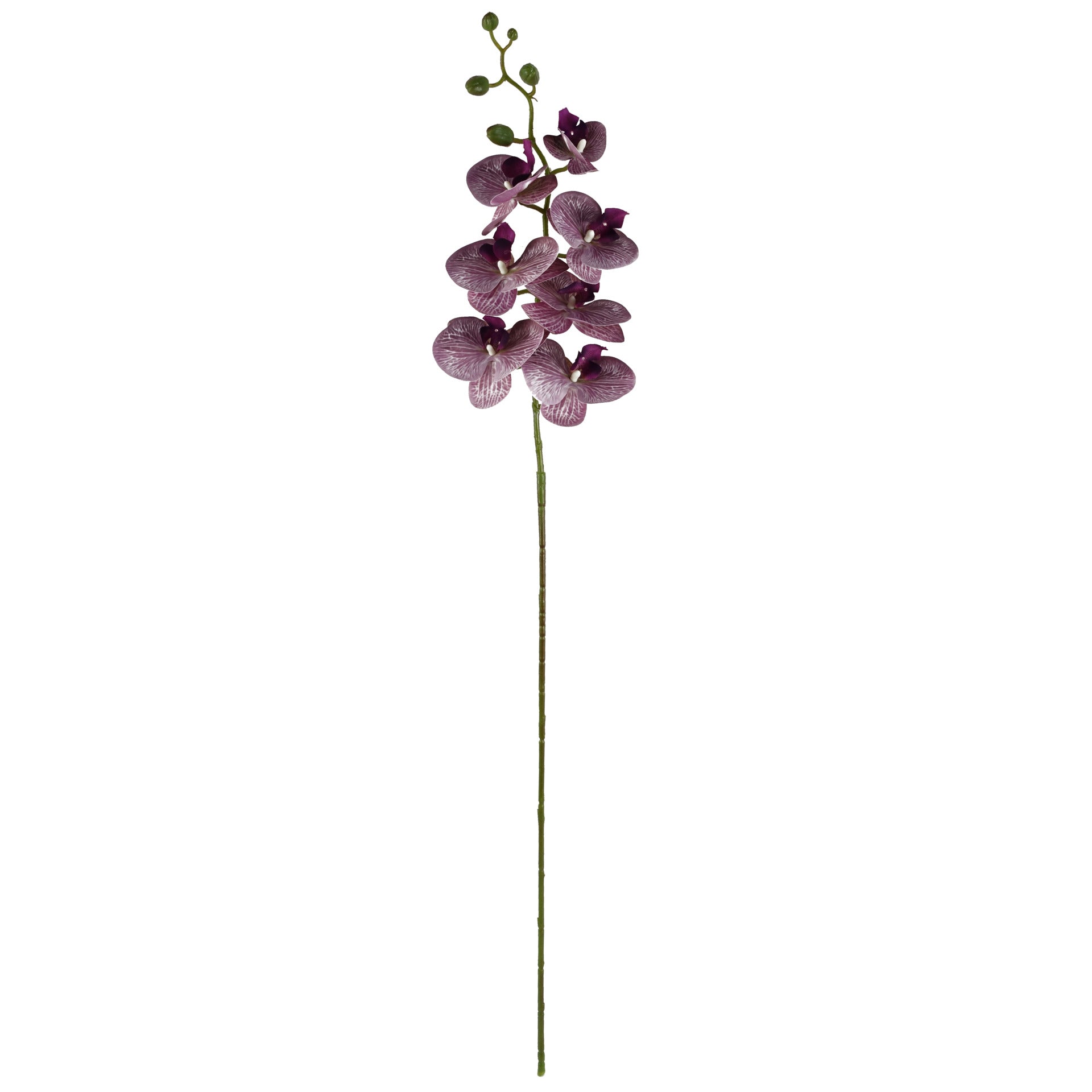 100cm Artificial Phalaenopsis Orchid Purple Stem