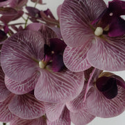 100cm Artificial Phalaenopsis Orchid Purple Stem