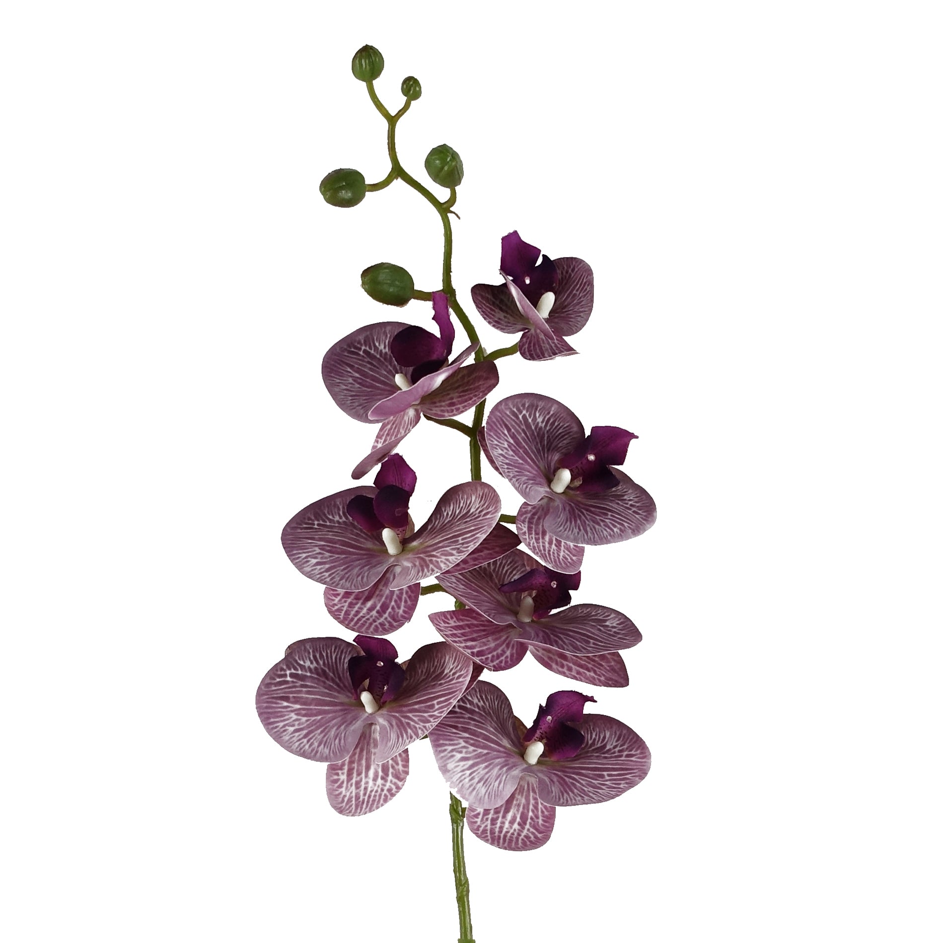 100cm Artificial Phalaenopsis Orchid Purple Stem