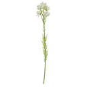 Pack of 6 x 60cm White Starflower Stem - 30 Flowers
