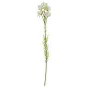 60cm White Starflower Stem - 5 Flowers