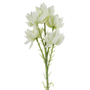 Pack of 6 x 60cm White Starflower Stem - 30 Flowers