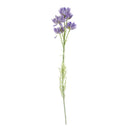 60cm Purple Starflower Stem - 5 Flowers