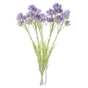 Pack of 6 x 60cm Purple Starflower Stem - 30 Flowers