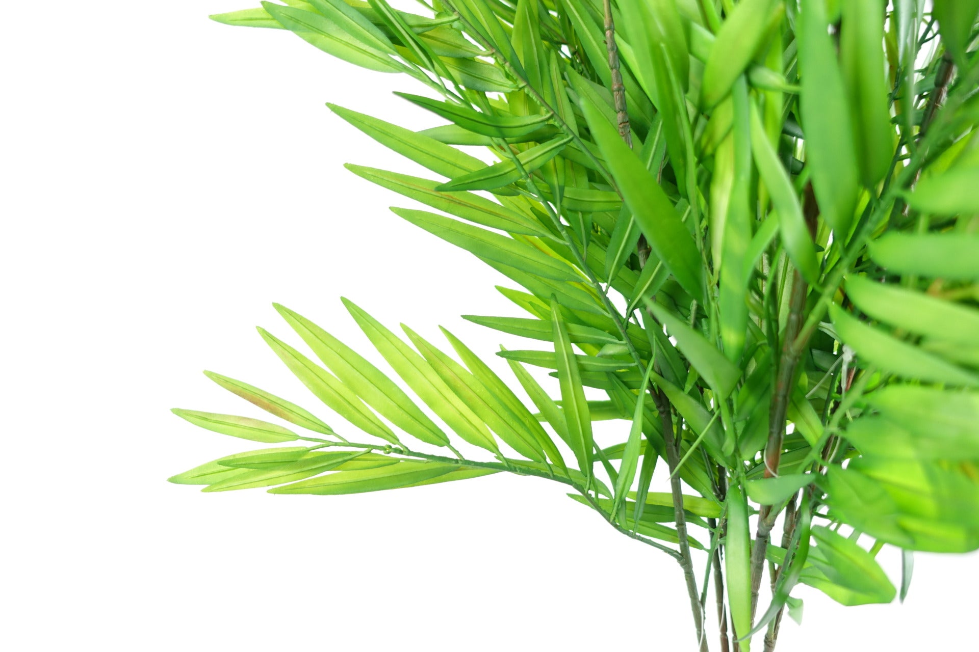 Pack of 6 x 85cm Bamboo Fern Stem