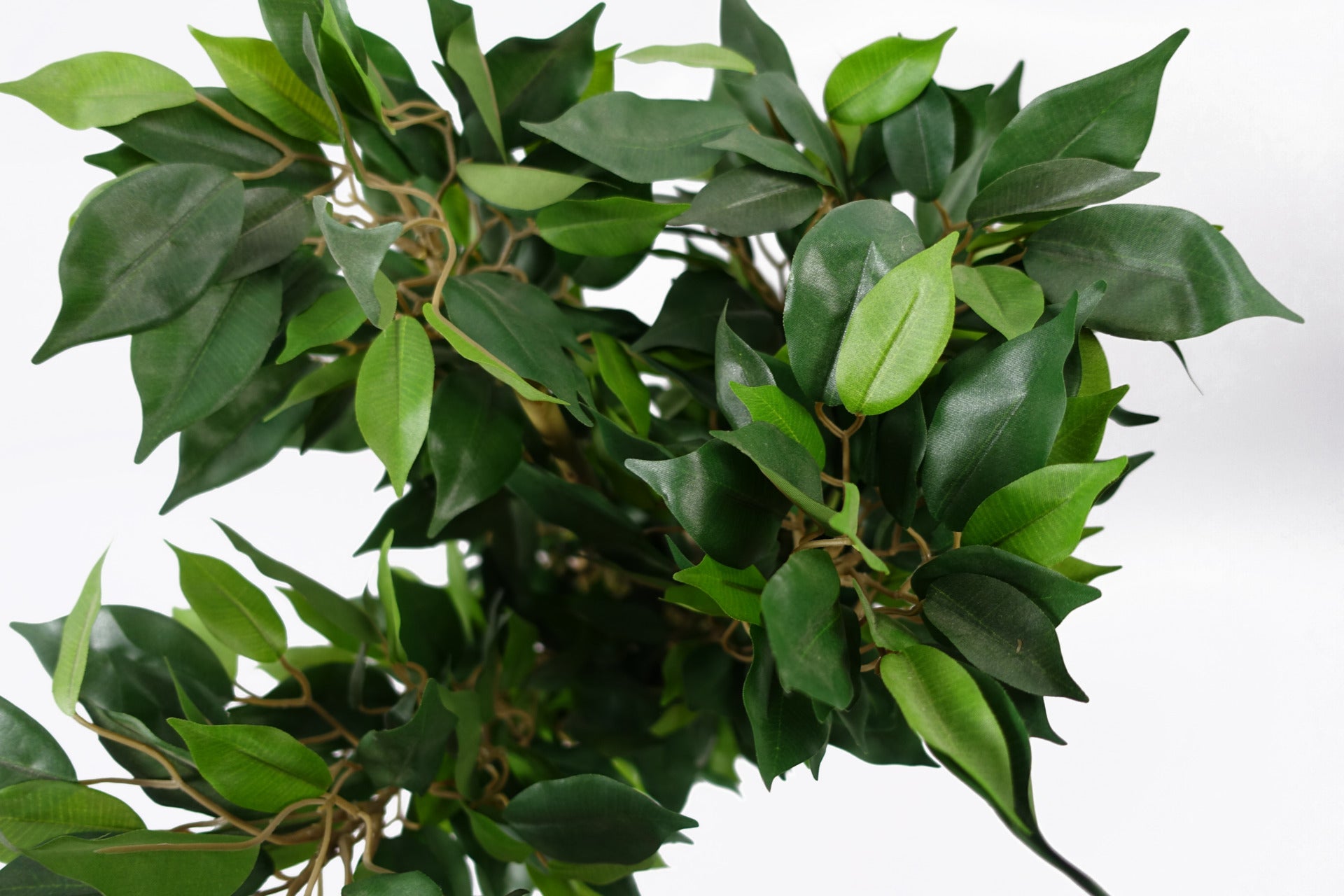 60cm Artificial Mini Ficus Bush Plant in Decorative Planter