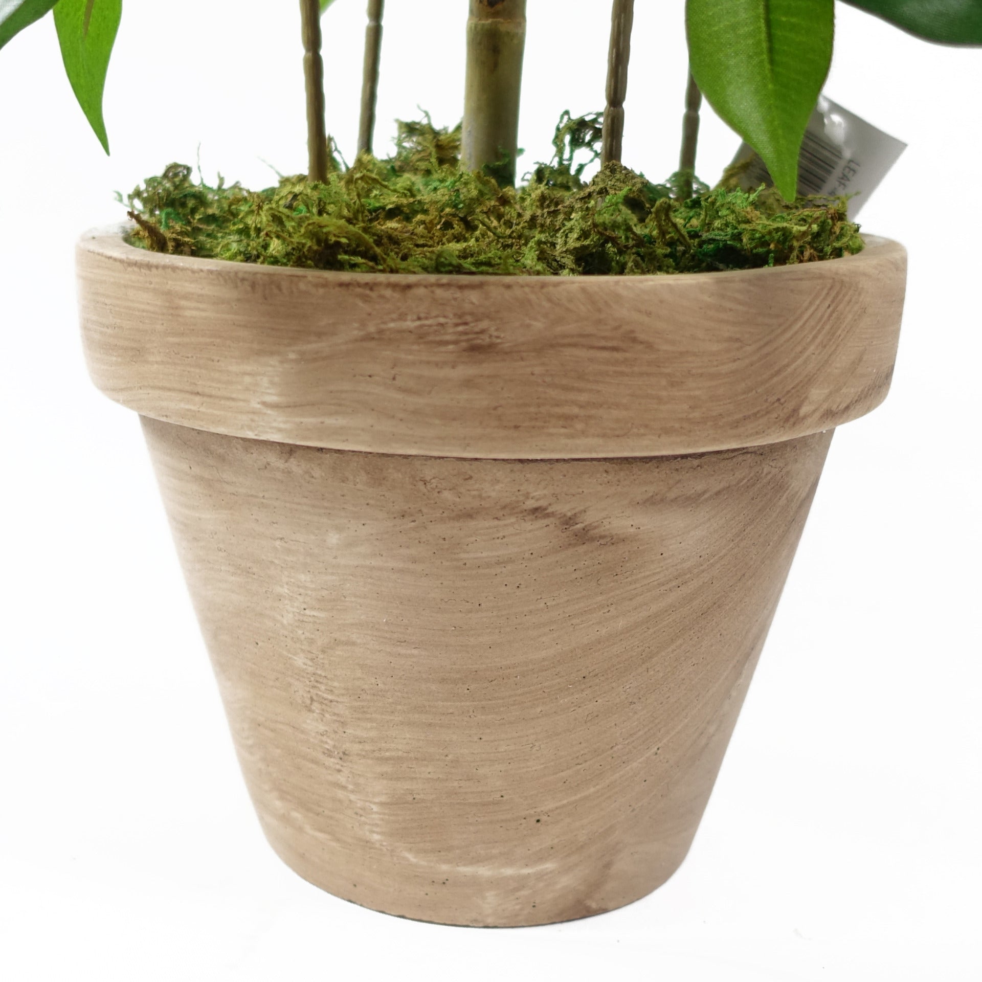60cm Artificial Mini Ficus Bush Plant in Decorative Planter