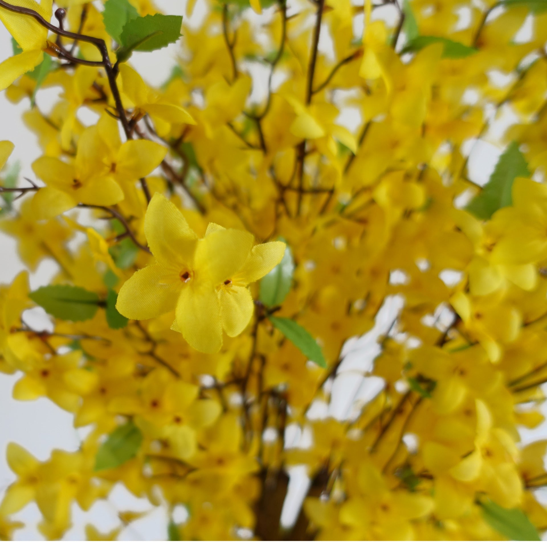 150cm Artificial Forsythia Tree Yellow Blossom