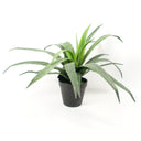 40cm Artificial Aloe Succulent Plant