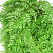 110cm Artificial Hanging Fern Ball - Extra Large