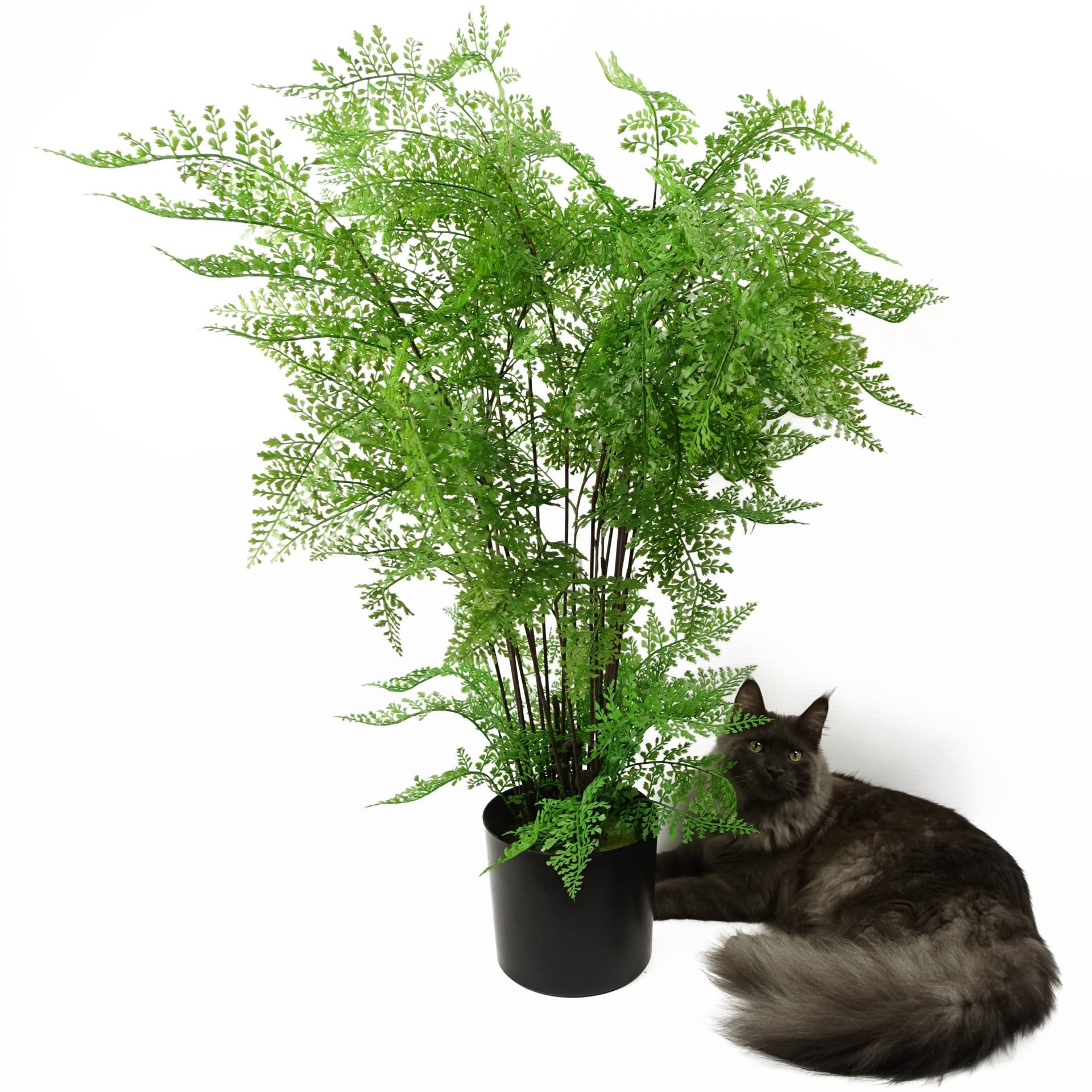 100cm Artificial Maidenhair Fern Plant