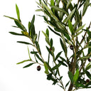 170cm Artificial Realistic Olive Tree