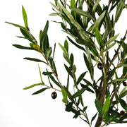170cm Artificial Realistic Olive Tree