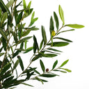 170cm Artificial Realistic Olive Tree