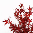 120cm Artificial Red Maple Tree