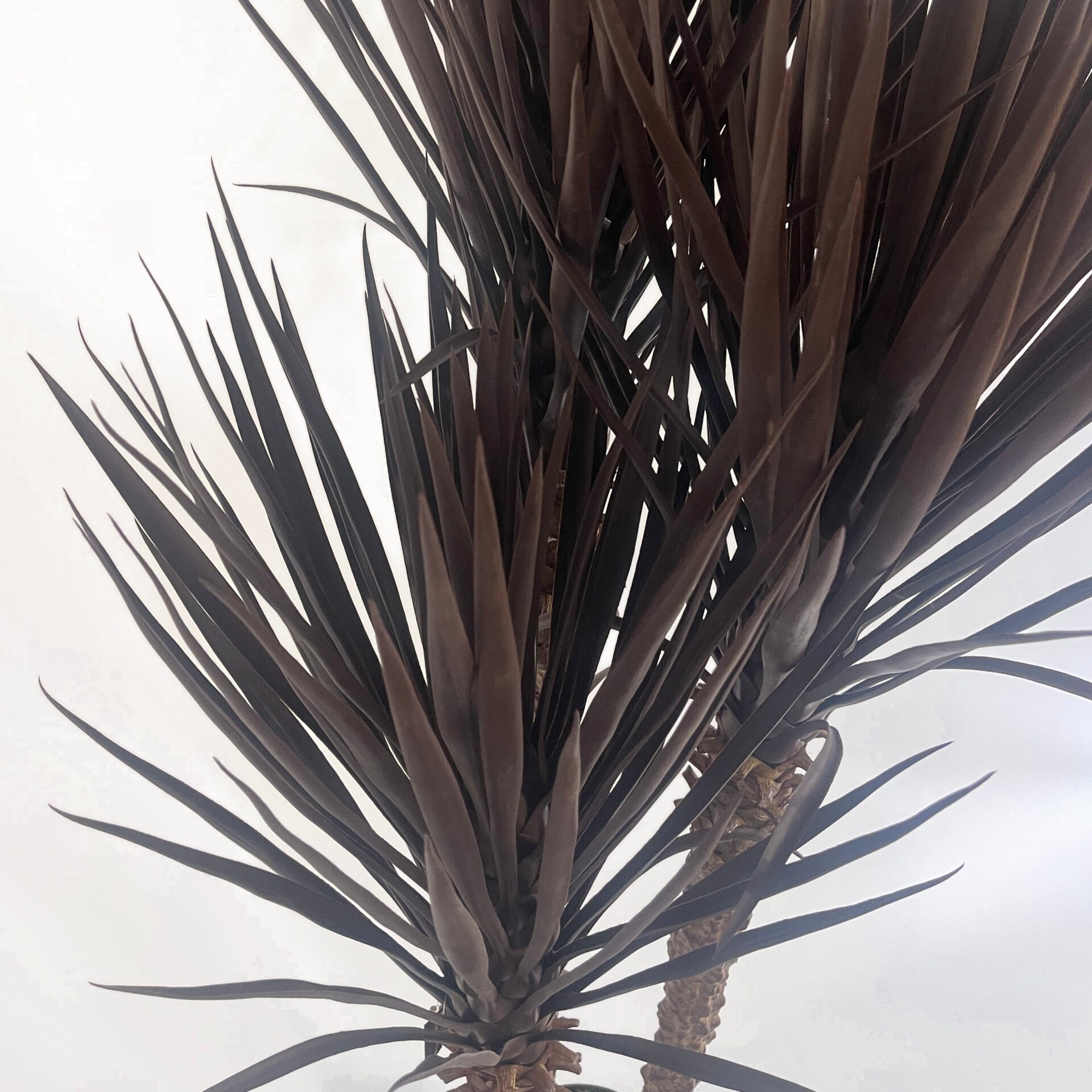 155cm Artificial Yukka Tree Plant Spiky UV Resistant Outdoor Tree Triple Dark Red / Brown