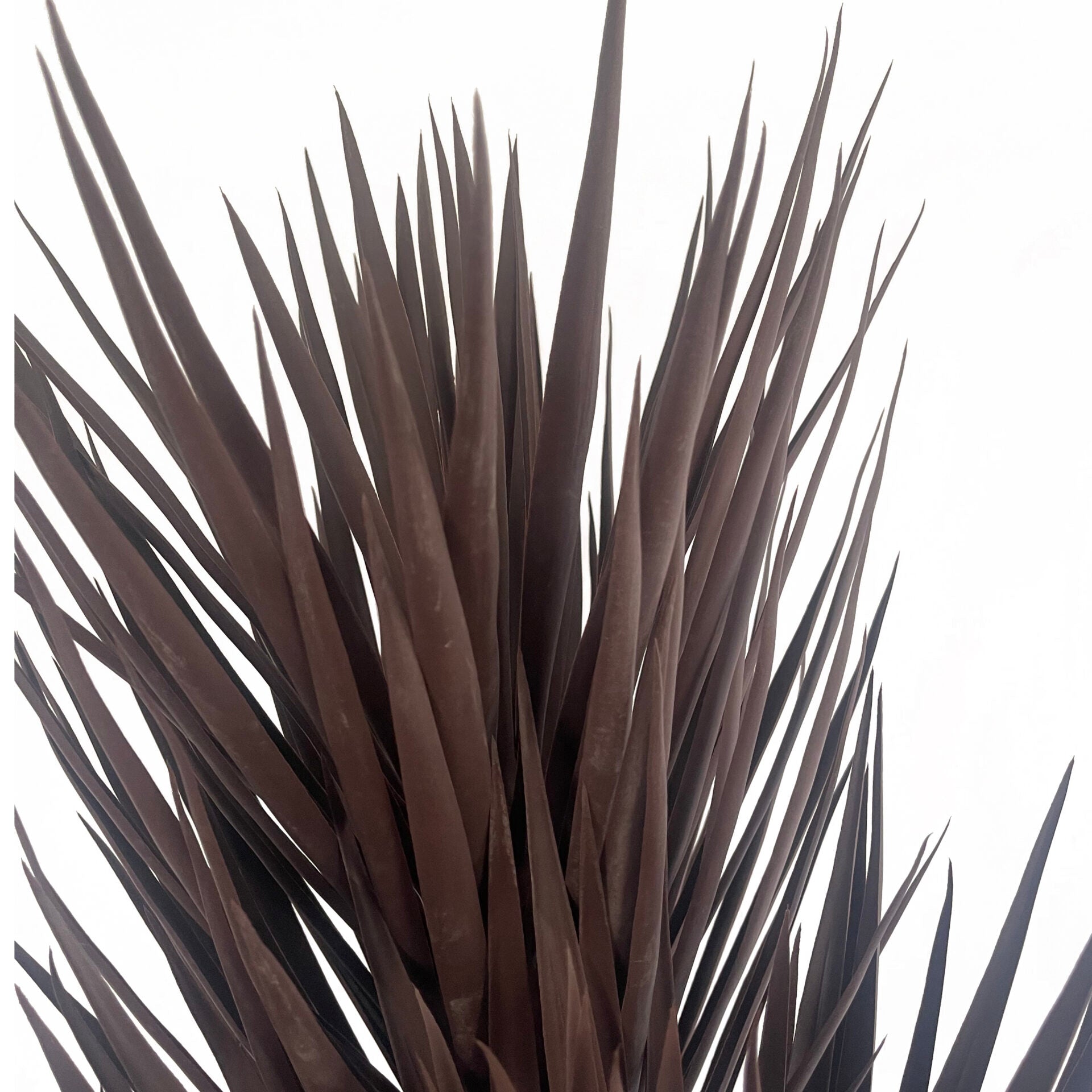 155cm Artificial Yukka Tree Plant Spiky UV Resistant Outdoor Tree Triple Dark Red / Brown
