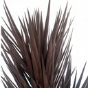 155cm Artificial Yukka Tree Plant Spiky UV Resistant Outdoor Tree Triple Dark Red / Brown