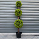 120cm Green Triple Ball Topiary Tree