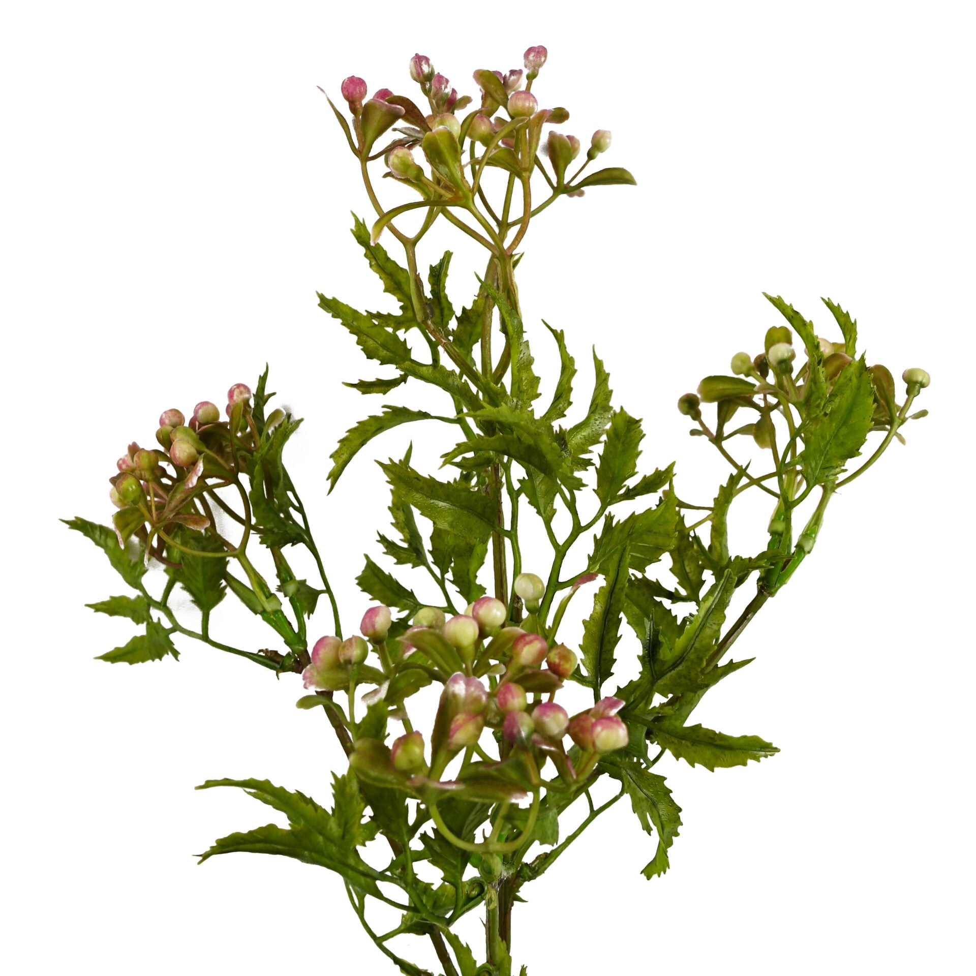 55cm Artificial Foliage Stem with Pink Berries