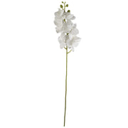 100cm Artificial Phalaenopsis Orchid White Stem
