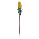 Pack of 6 x 75cm Banksia Menziesii Yellow Flower Stem Artificial