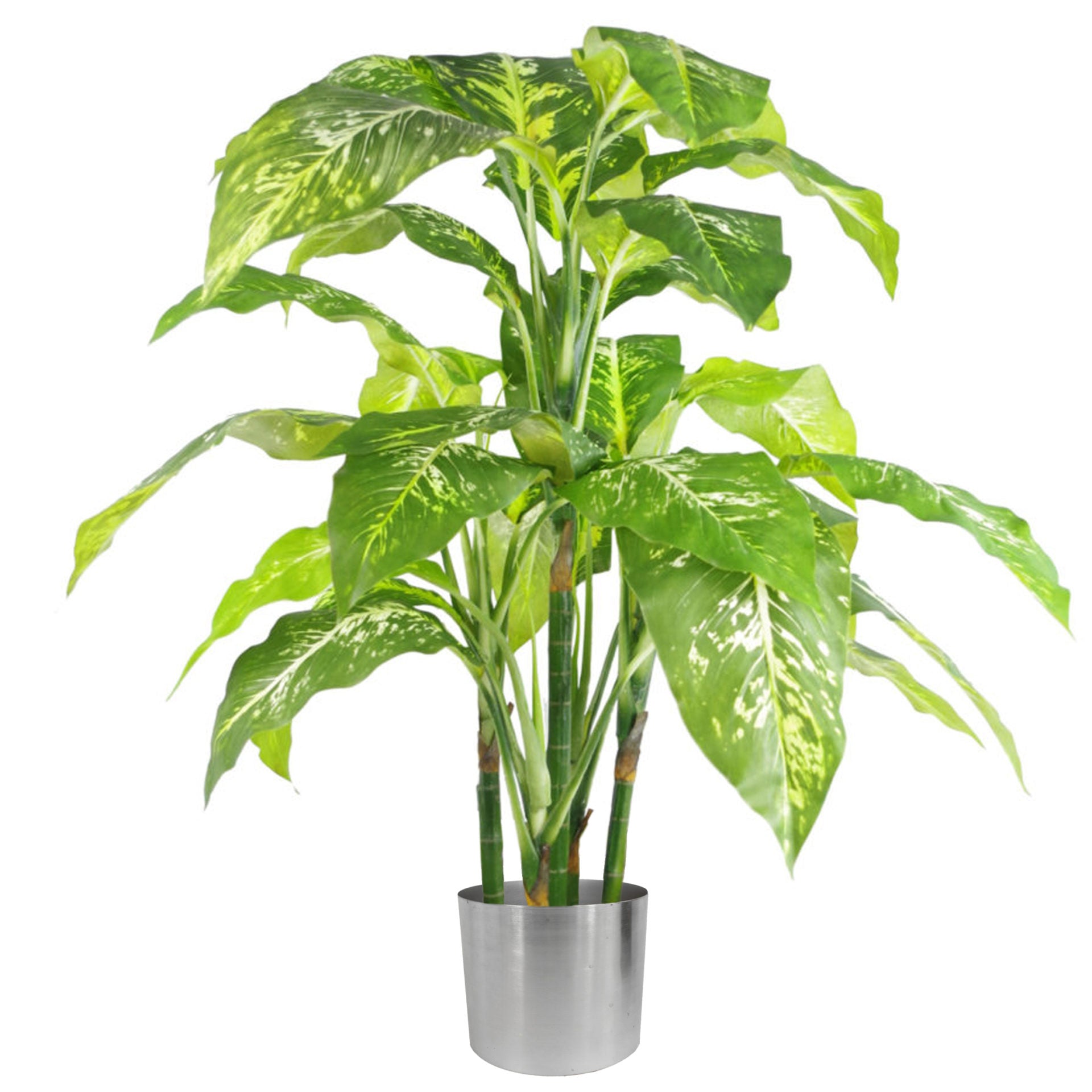 100cm Large Foxs Aglaonema (Spotted Evergreen) Tree Artificial Plant with Silver Metal Planter