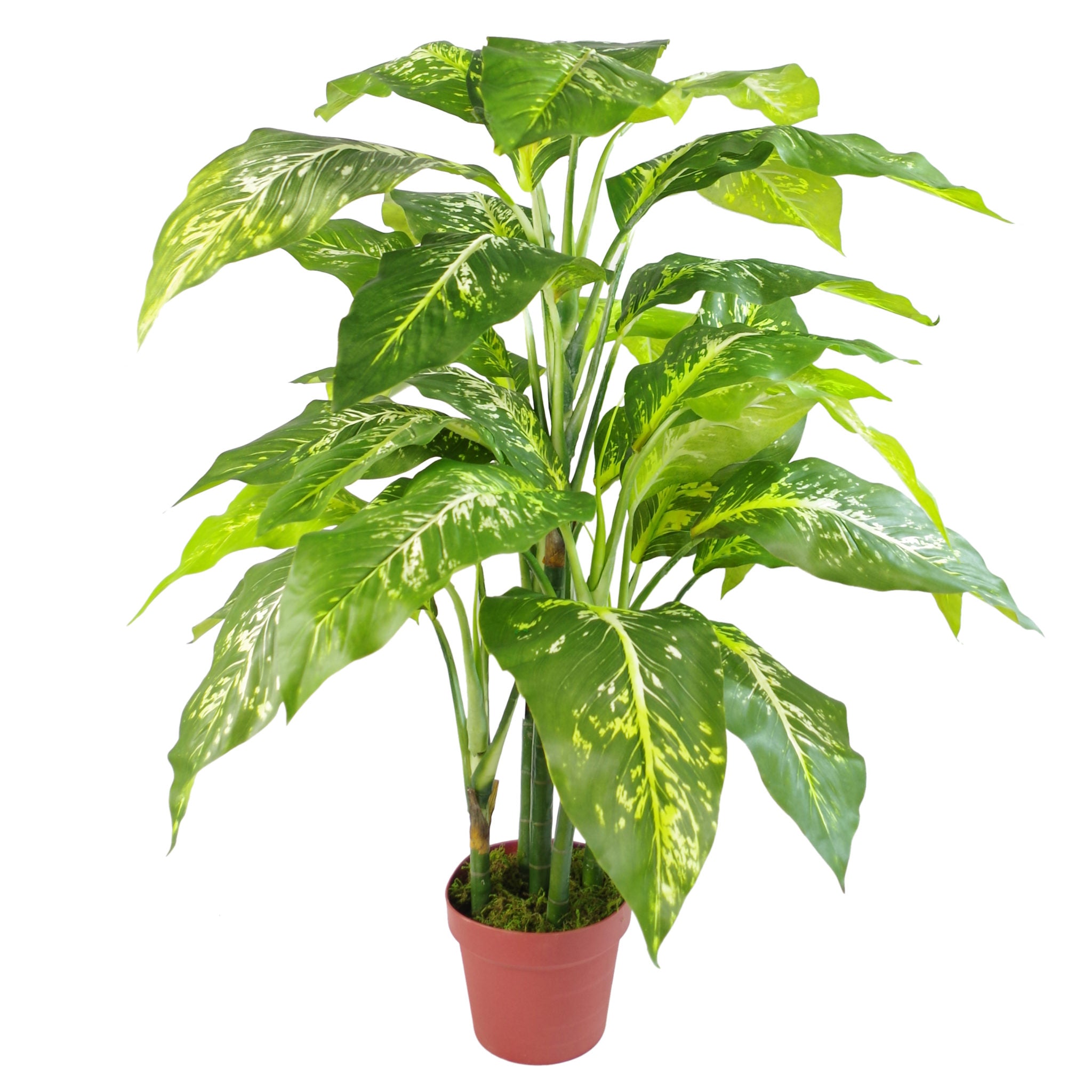 100cm Large Foxs Aglaonema (Spotted Evergreen) Tree Artificial Plant with Gold Metal Planter
