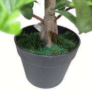 40cm Artificial Pittosporum Tobira Ficus - Australian Laurel Plant