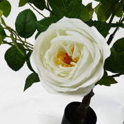 70cm White Camellia Rose Plant Artificial