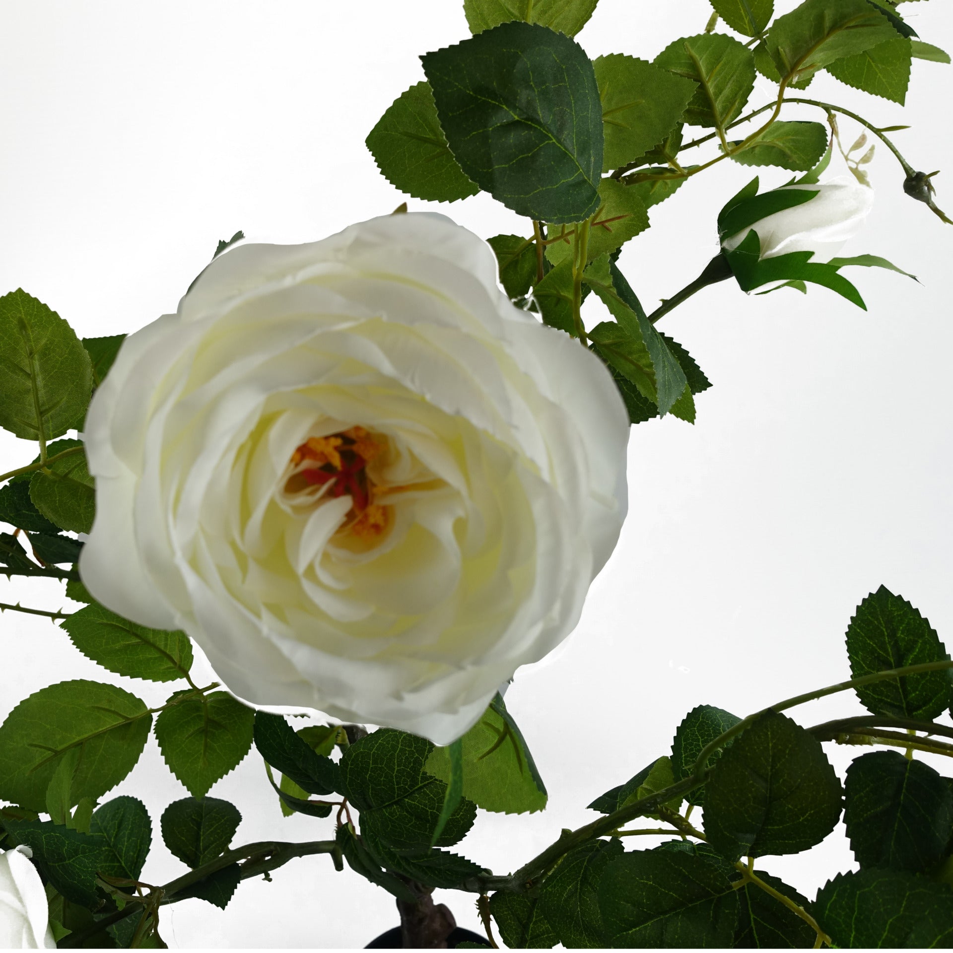 70cm White Camellia Rose Plant Artificial