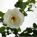 70cm White Camellia Rose Plant Artificial
