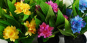 6x 18cm Artificial Freesia Plants in Assorted Colours Flowering