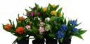 6x 18cm Artificial Freesia Plants in Assorted Colours Flowering
