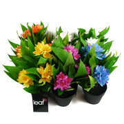6x 18cm Artificial Freesia Plants in Assorted Colours Flowering