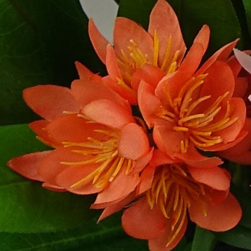 18cm Artificial Freesia Plant Orange Flowering