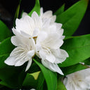 18cm Artificial Freesia Plant White Flowering