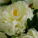 55cm Artificial White Peony Plant